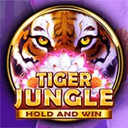 Hỗ trợ trực tuyến 24/7 qua live chat tại Kuwin2 đăng nhập